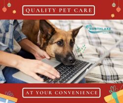 Advanced Solution for Pet Healthcare