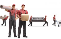 Mayzlin Relocation – Professional Packers and Movers
