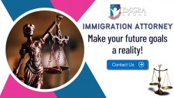 The Premier Choice for Legal Representation!