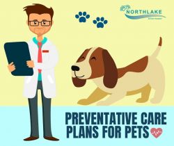 Improve the Overall Health of Pets