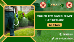 Protect Your Health & Property From Unwanted Pests!