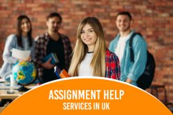 Why Online Assignment Help Is A Huge Hit Among Students