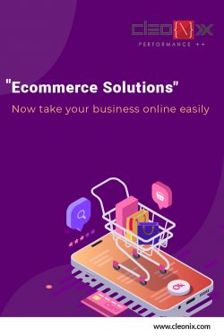 Choosing the best Ecommerce Solution for growing your business