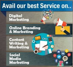 Best Digital Marketing Company North Lauderdale