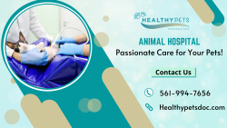 Get Comprehensive Veterinary Care for Your Pets!