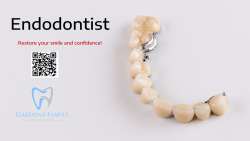 Affordable Endodontist In Florida