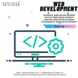 Professional web development services with amazing offers!