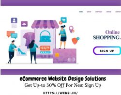 eCommerce Website Design Solutions