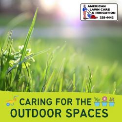 Beautiful Lawn Care Service At Your Doorstep
