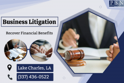 Professional Commercial Lawyers