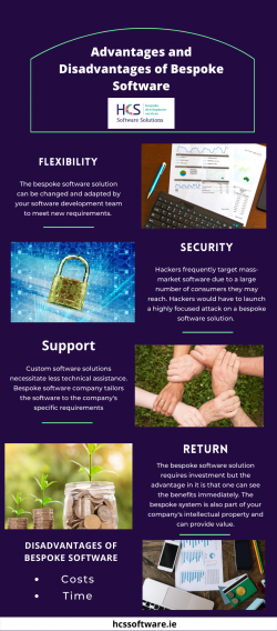 Seven Advantages (And Disadvantages) Of Bespoke Software