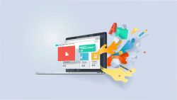 Adam Gringruz – Expert in UI/UX Designing