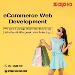eCommerce Web Design Agency in Dubai