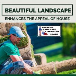Get Your Landscape Into Greeny Transformation