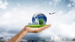 Bryan Provenzano | Business Expertise