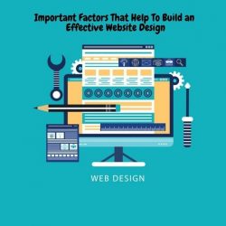 Important Factors That Help to guide an Website Design