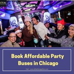 Book Affordable Party Buses in Chicago