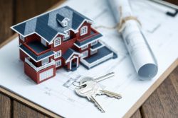 Business Expertise in Fort Mill