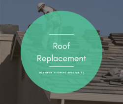 Heavily Damaged Roof? Replace It ASAP