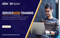 Does ServiceNow Have A Future?