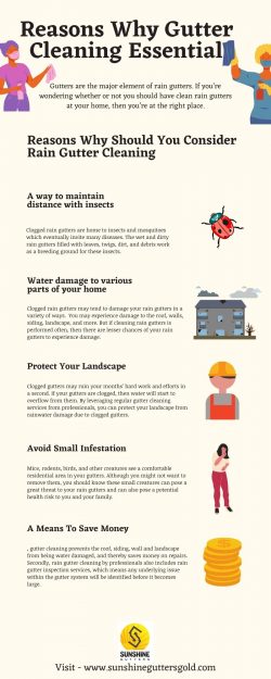 Reasons Why Gutter Cleaning Essential