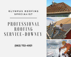 Professional Roofing Service-Downey