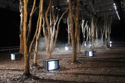 Best Creative Coach In Nyc