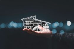 Real Estate Expert in US