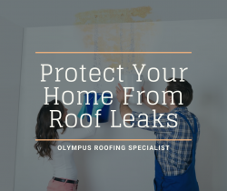 Protect Your Home From Roof Leaks
