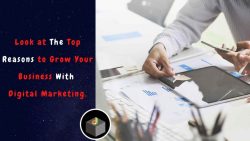 Know The Top Reason to Grow Your Business With Digital Marketing