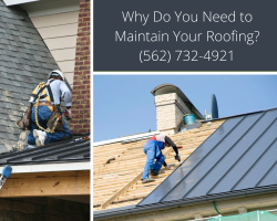 Why Do You Need to Maintain Your Roofing?