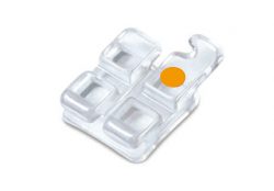 Ceramic Twin Brackets