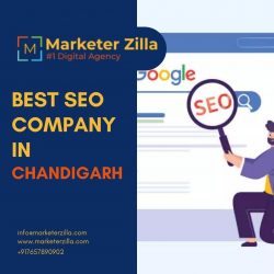 Best SEO Company in Chandigarh – Marketer Zilla