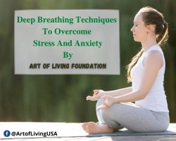 Meditation And Yoga Foundation