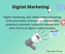 Digital Transformation Business Executive