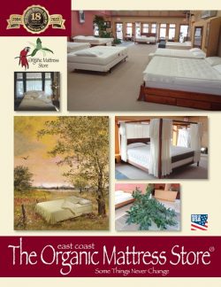 Organic mattress stores in nj
