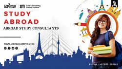 Top 7 Reasons to Study Abroad