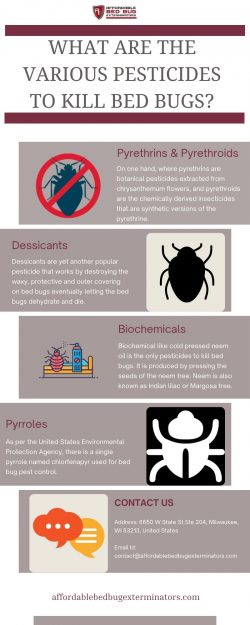 What are the various pesticides to kill bed bugs?