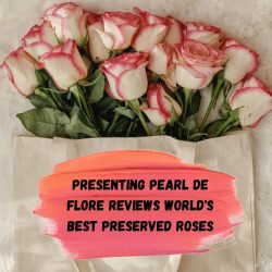 Presenting Pearl de Flore Reviews World’s Best Preserved Roses