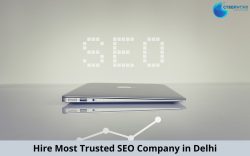 Best SEO Company in Delhi