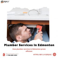How plumber services in Edmonton prove efficient