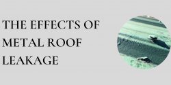 The Effects of Metal Roof Leakage