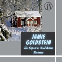 Jamie Goldstein— The Expert in Real Estate Business