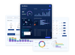 What Does Embedded Mean? OEM Reporting Tools Defined