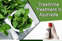 ayurvedic medicine for kidney disease