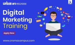 Eligibility Criteria For Digital Marketing Online Training Course