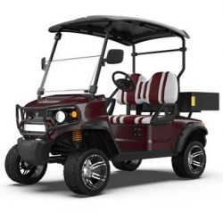 Electric Utility Golf Pickup