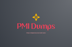 Avoid The Top 10 PMI DUMPS Mistakes
