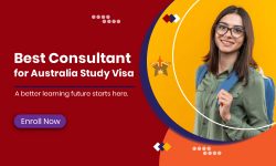 4 Benefits of Doing a Professional Year Program in Australia
