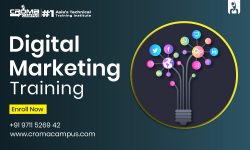 Best Digital Marketing Training Institute in Delhi – Croma Campus